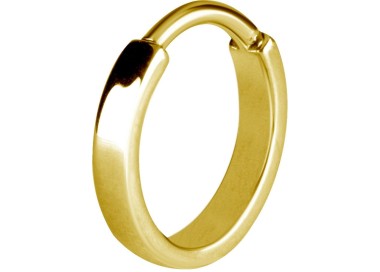 GD 316 HINGED RING (FLAT PROFILE)