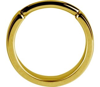 GD 316 HINGED RING (FLAT PROFILE)