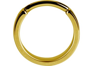 GD 316 HINGED RING (FLAT PROFILE)