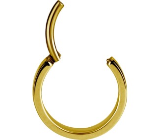 GD 316 HINGED RING (FLAT PROFILE)