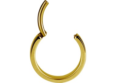 GD 316 HINGED RING (FLAT PROFILE)
