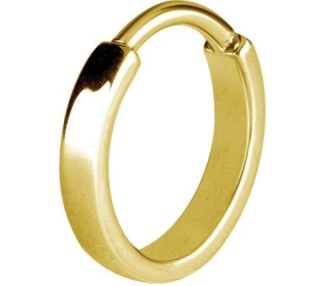GD 316 PLAIN HINGED HOOPS