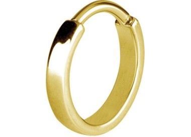 GD 316 PLAIN HINGED HOOPS
