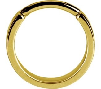 GD 316 PLAIN HINGED HOOPS