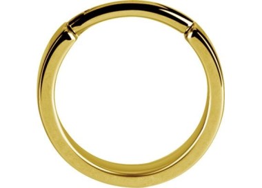 GD 316 PLAIN HINGED HOOPS