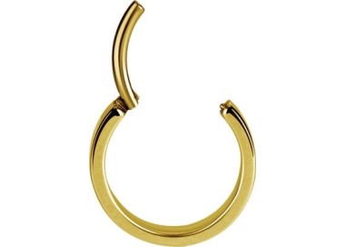 GD 316 PLAIN HINGED HOOPS