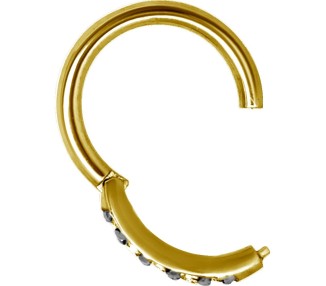 GD 316 HINGED RING SET with Jewels