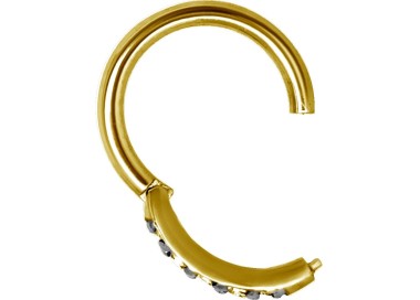 GD 316 HINGED RING SET with Jewels