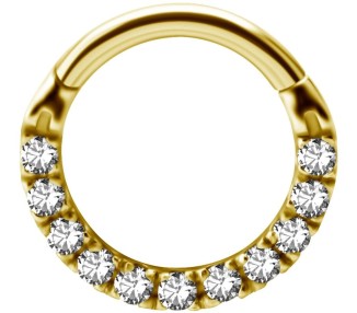GD 316 HINGED CLICKER SET with Front Jewels