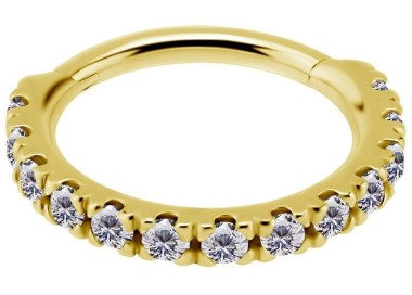 GD 316 HINGED RING SET with Jewels