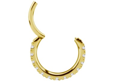 GD 316 HINGED RING SET with Jewels