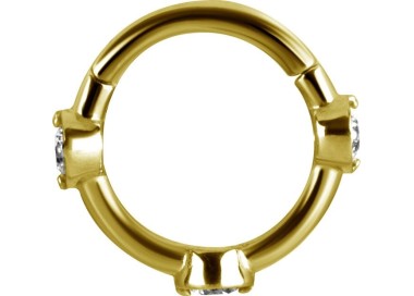 GD 316 HINGED RING SET W. ZIRCONIA