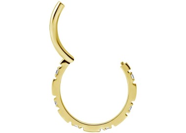 GD 316 HINGED RING SET with Jewels