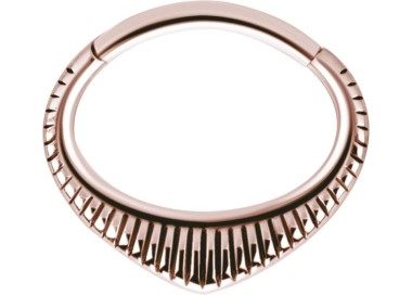 RG 316 HINGED SEPTUM & DAITH CLICKERS 1,2x6mm mod.3