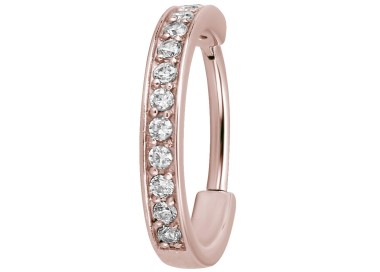RG 316 HINGED RING (SINGLE ROW) SET W. ZIRCONIA