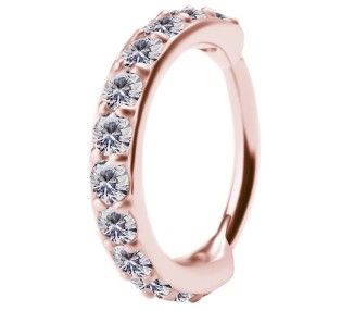 RG 316 CLICKER SET with Jewels