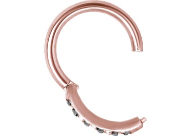 RG 316 HINGED RING SET with Jewels