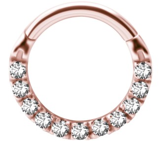 RG 316 HINGED CLICKER SET with Front Jewels