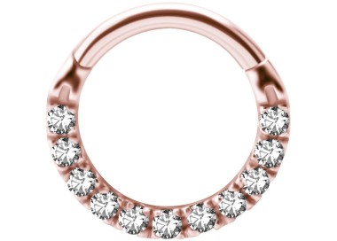 RG 316 HINGED CLICKER SET with Front Jewels