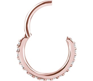 RG 316 HINGED CLICKER SET with Front Jewels