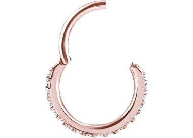 RG 316 HINGED CLICKER SET with Front Jewels