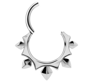 SS 316 HINGED CLICKER (PYRAMIDS & SPIKES)