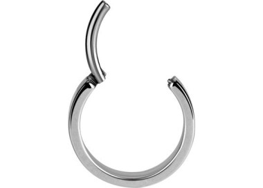 SS 316 PLAIN HINGED HOOPS