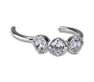 SS 316 HINGED RING W/ZIRCONIA mod.17