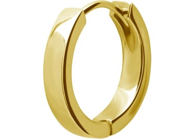 GD 316 HOOP EARRINGS (PAIR) mod. 02