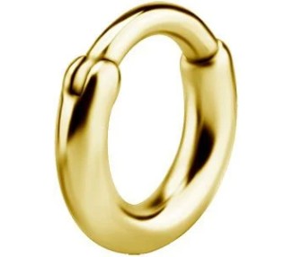 GD 316 HOOP EARRINGS (PAIR) mod. 06