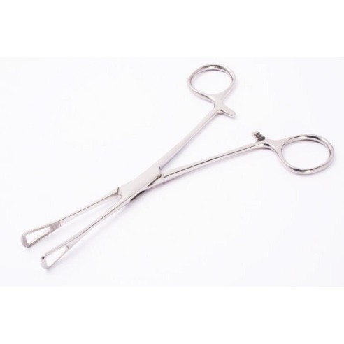 Pinza Mini Triangolare in Acciaio Inox