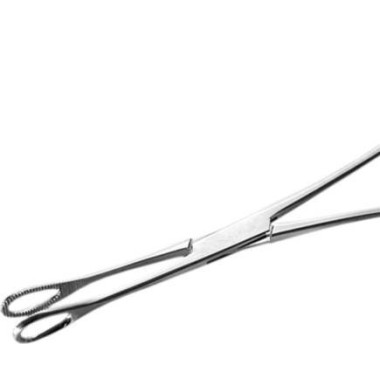 Pinza Ovale in Acciaio Inox