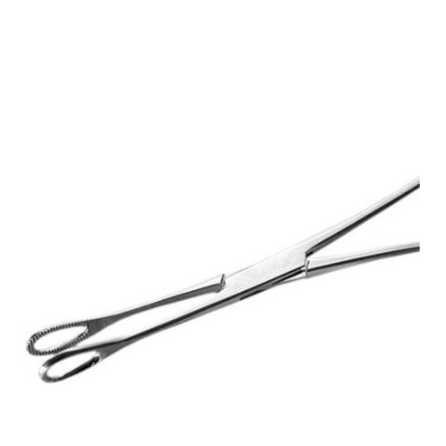 Pinza Ovale in Acciaio Inox