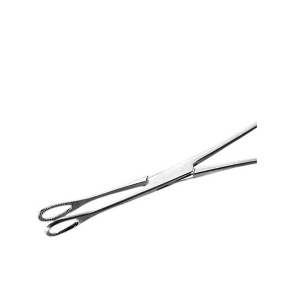 Pinza Ovale in Acciaio Inox