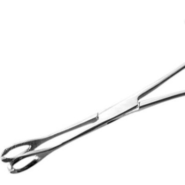 Pinza Ovale Aperta in Acciaio Inox