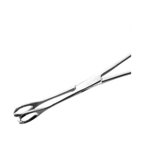 Pinza Ovale Aperta in Acciaio Inox