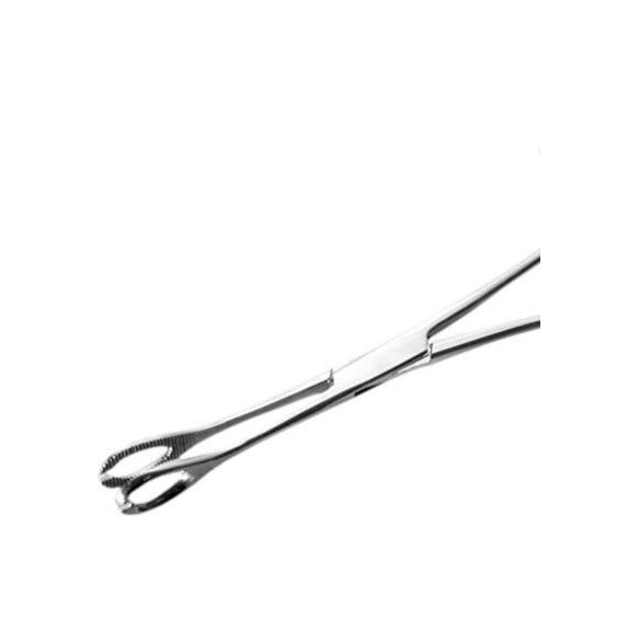 Pinza Ovale Aperta in Acciaio Inox