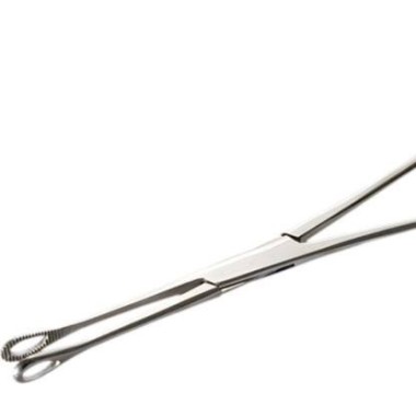 Pinza Ovale Piccola in Acciaio Inox