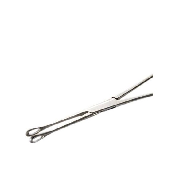 Pinza Ovale Piccola in Acciaio Inox