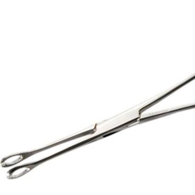 Pinza Ovale Piccola Aperta in Acciaio Inox