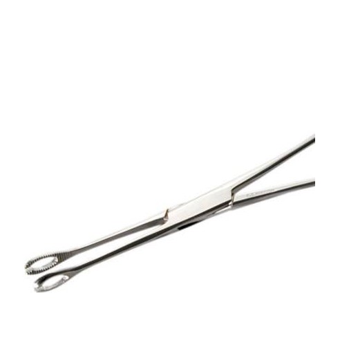 Pinza Ovale Piccola Aperta in Acciaio Inox