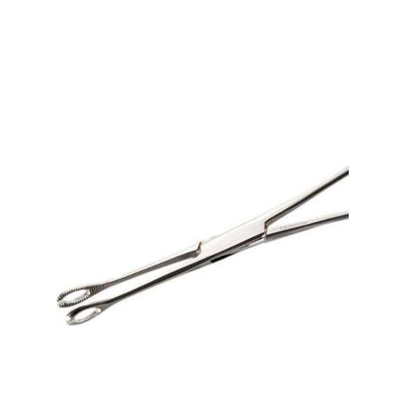 Pinza Ovale Piccola Aperta in Acciaio Inox