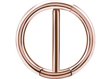 RG 316 DOUBLE NIPPLE CLICKER RING