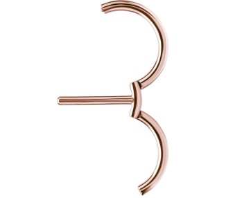 RG 316 DOUBLE NIPPLE CLICKER RING