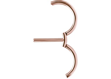 RG 316 DOUBLE NIPPLE CLICKER RING