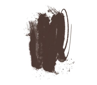 COOL DARK BROWN Brovi - Pigmento PMU per Pelle Sintetica - 5ml brovi