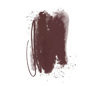 WARM DARK BROWN Brovi - Pigmento PMU per Pelle Sintetica - 5ml brovi