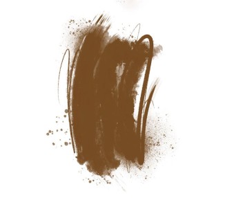 CINNAMON STICKS Brovi - Pigmento PMU per Pelle Sintetica - 5ml brovi