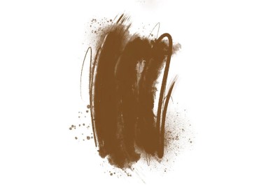 CINNAMON STICKS Brovi - Pigmento PMU per Pelle Sintetica - 5ml brovi