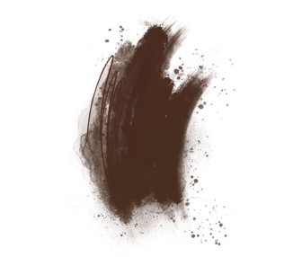 ROASTED CHESTNUT Brovi - Pigmento PMU per Pelle Sintetica - 5ml brovi